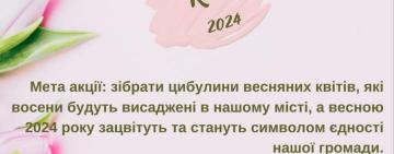 В Кілії навчальний заклад та волонтерський центр оголосили акцію «Квітуча Кілія 2024»